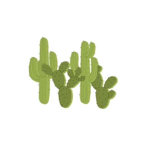 LA ROUTINE COMPLÈTE (Copie)